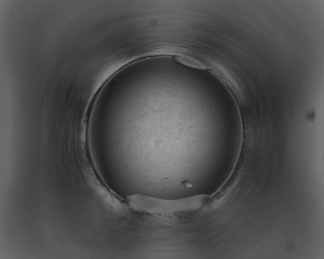 X0000093590900200710221521