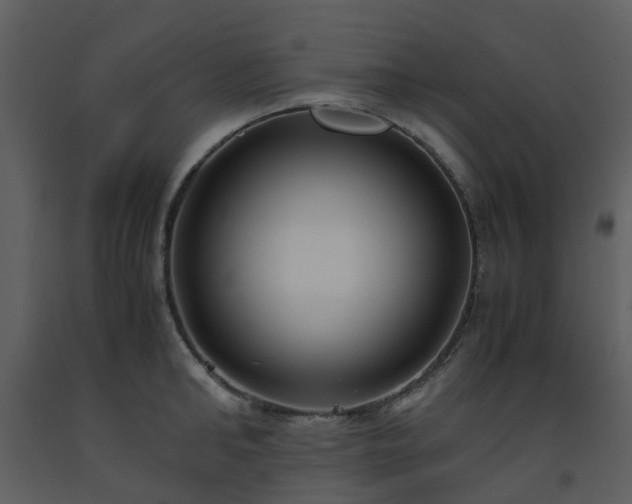 X0000093590902200710221521