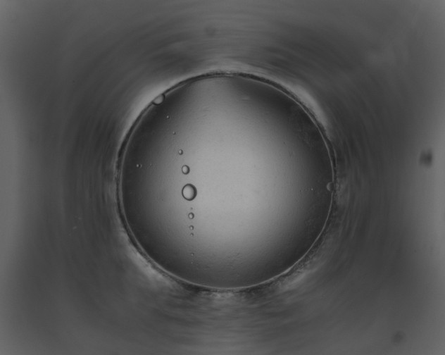 X0000093590903200710221521