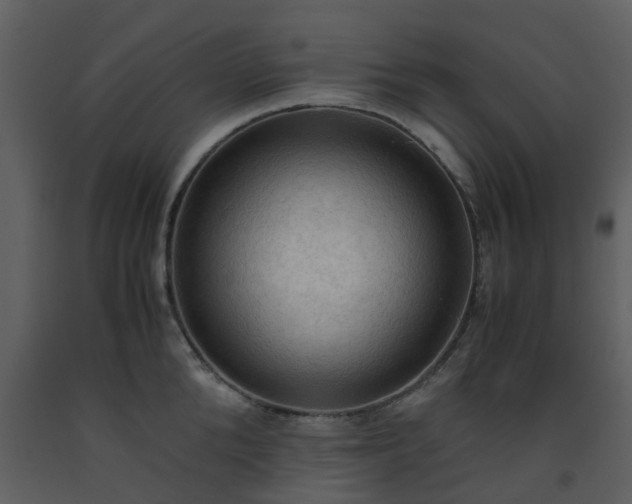 X0000093590904200710221521