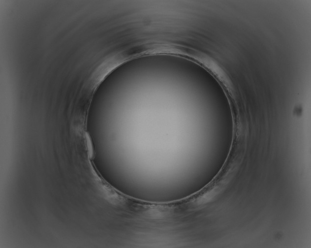 X0000093590905200710221521