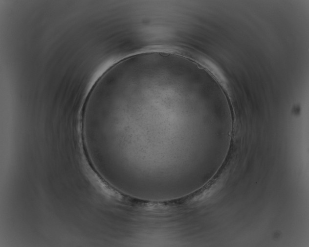 X0000093590907200710221521