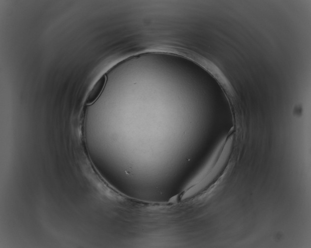 X0000093590908200710221521