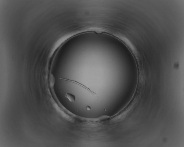 X0000093590910200710221521