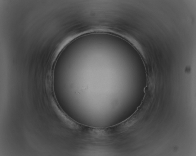 X0000093590911200710221521