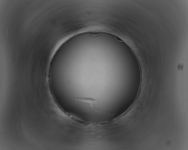 X0000093590912200710221521