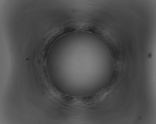 X0000093590913200710221520