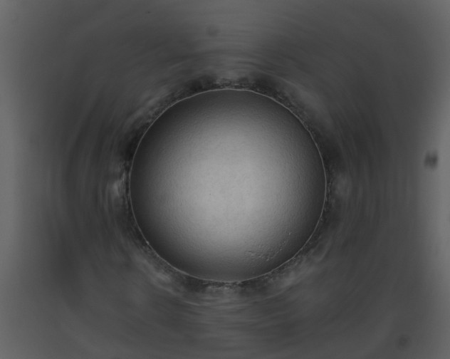 X0000093590914200710221520