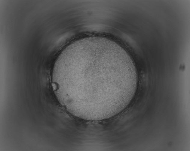 X0000093590918200710221520