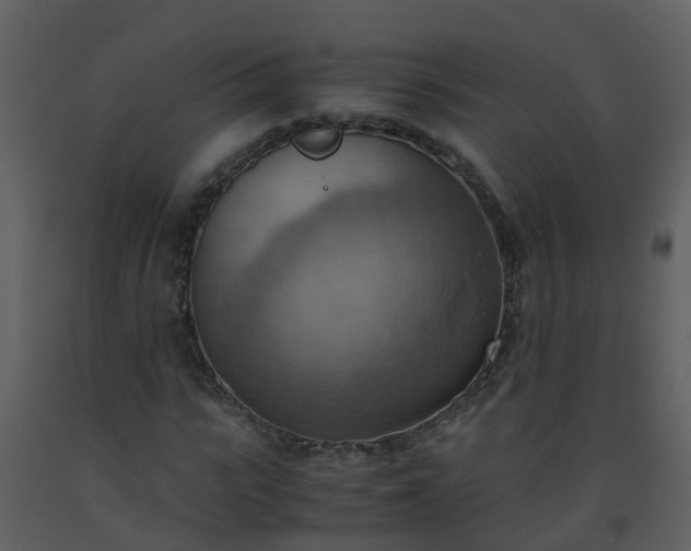 X0000093590919200710221520