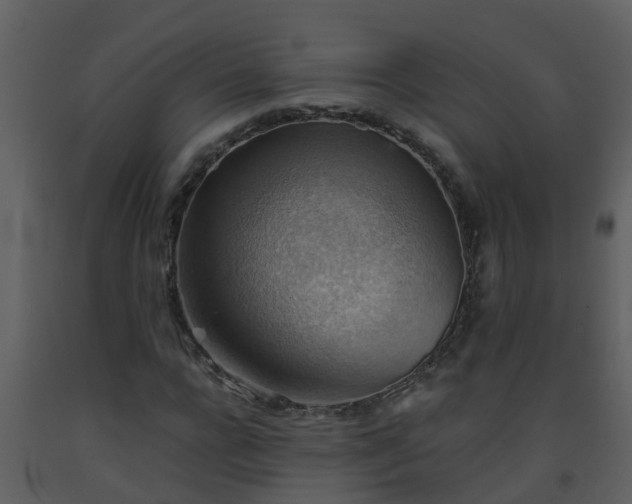 X0000093590920200710221520