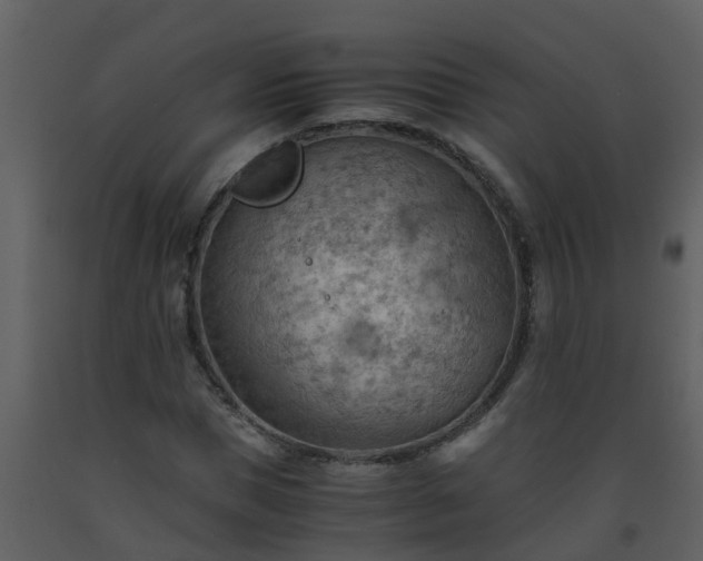 X0000093590921200710221520