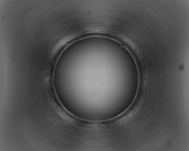 X0000093590922200710221520