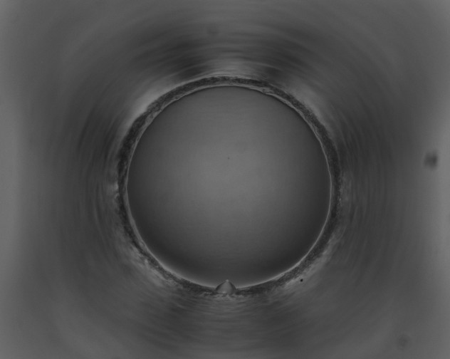X0000093590923200710221520