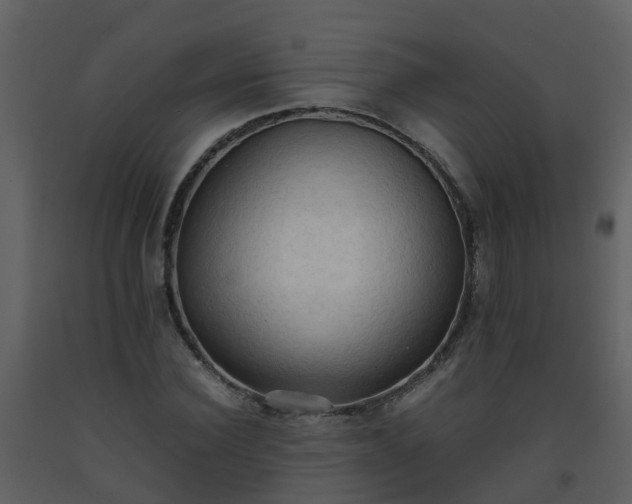 X0000093590924200710221520