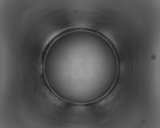 X0000093590925200710221520