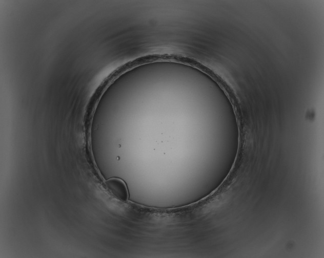 X0000093590927200710221520