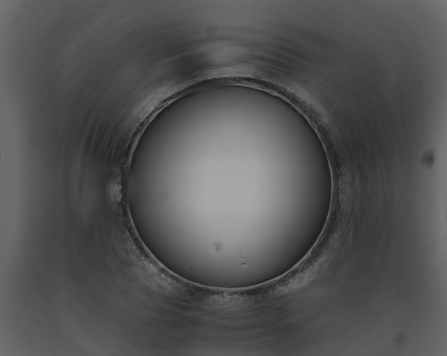 X0000093590929200710221520
