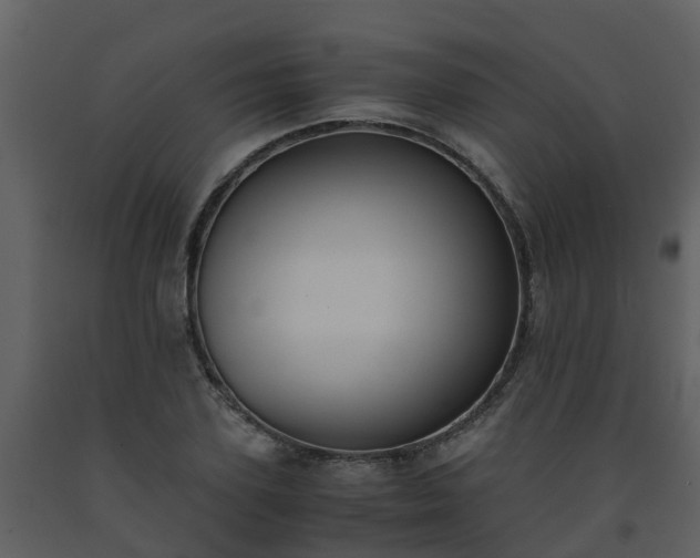 X0000093590931200710221520