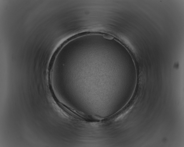 X0000093590932200710221520