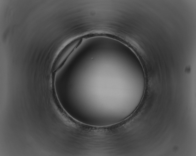 X0000093590934200710221520