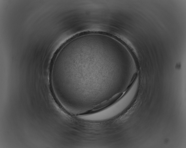 X0000093590935200710221520