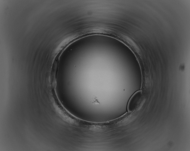 X0000093590938200710221520