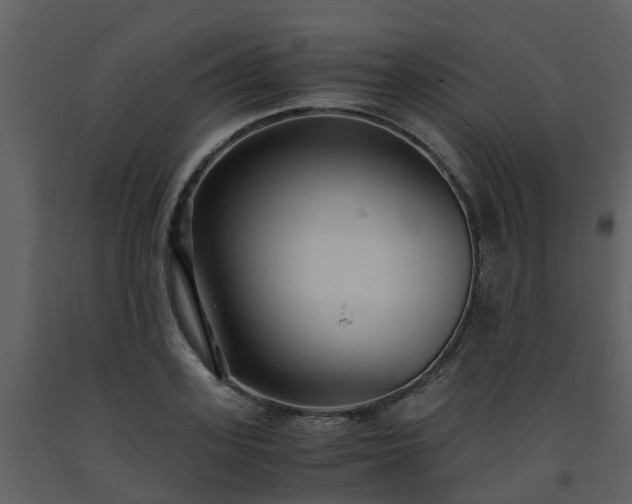 X0000093590939200710221520