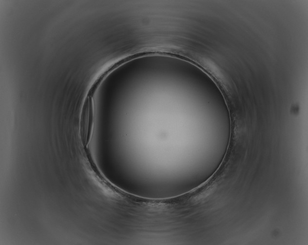 X0000093590940200710221520