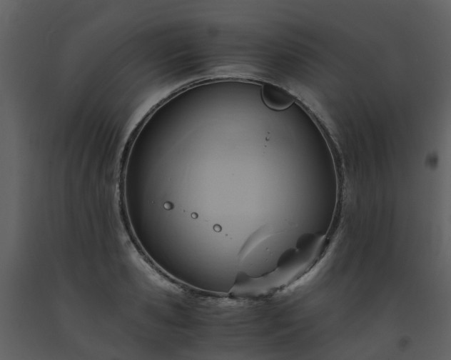 X0000093590941200710221520