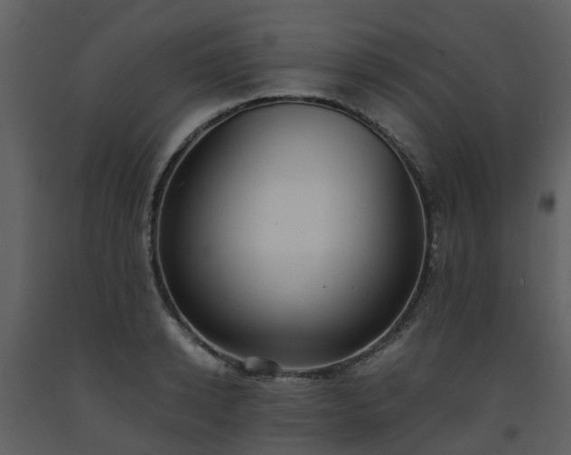 X0000093590942200710221520