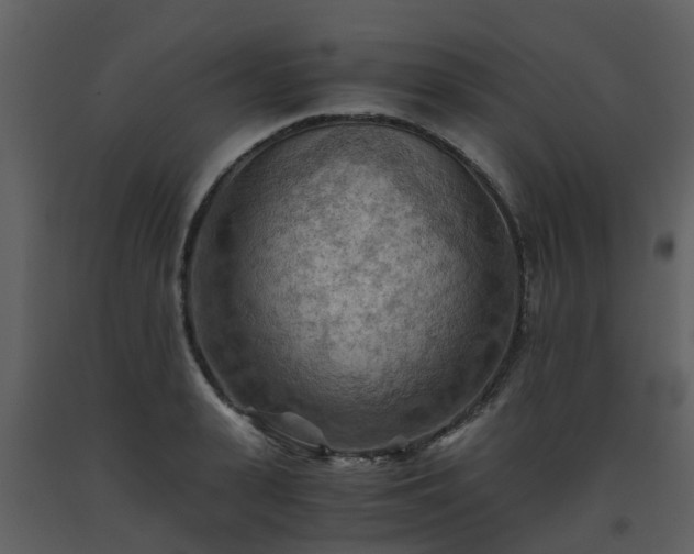 X0000093590943200710221520