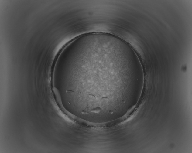 X0000093590944200710221520