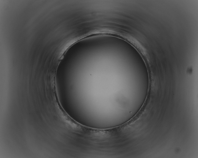 X0000093590945200710221520