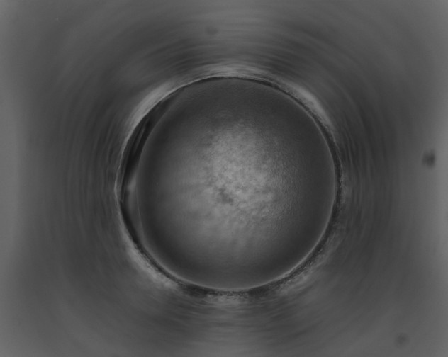 X0000093590946200710221520