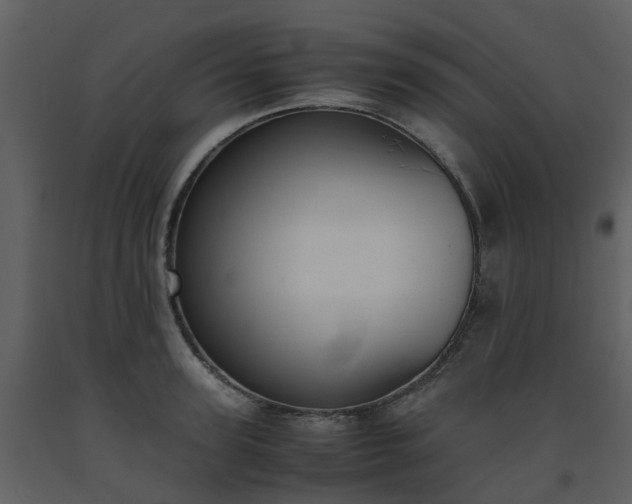 X0000093590947200710221520