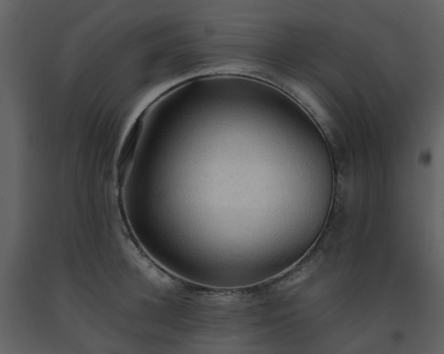 X0000093590948200710221520