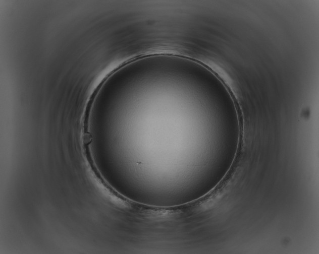 X0000093590949200710221520
