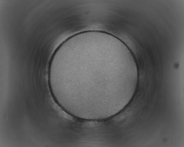 X0000093590950200710221520