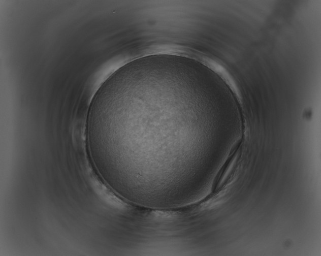 X0000093590954200710221520