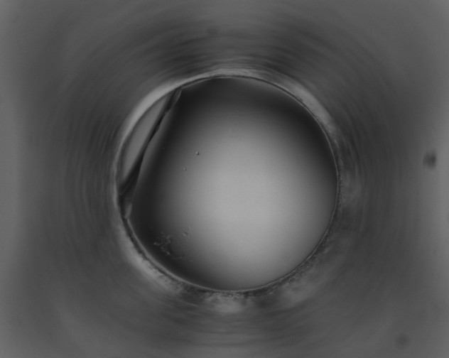 X0000093590955200710221520