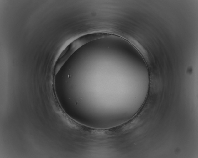 X0000093590956200710221520