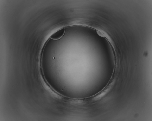 X0000093590957200710221520