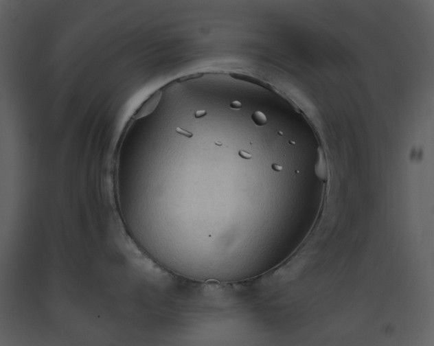 X0000093590960200710221521