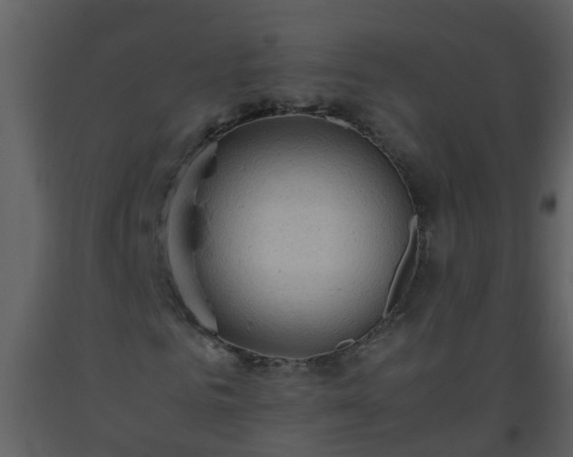 X0000093590961200710221520
