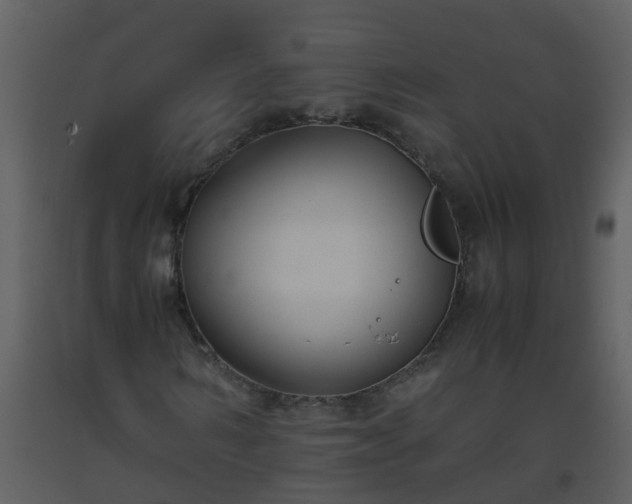 X0000093590962200710221520