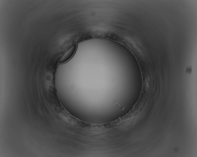 X0000093590964200710221520