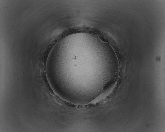 X0000093590965200710221520