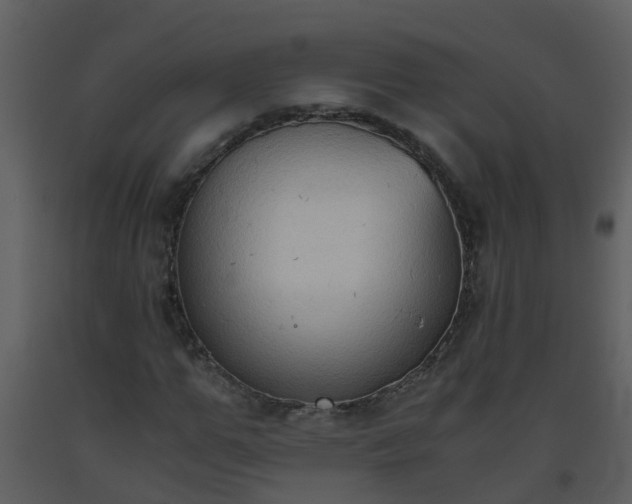 X0000093590967200710221520