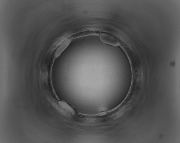 X0000093590969200710221520